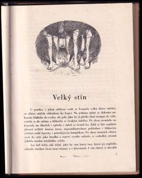 Miloš Kosina: Orlí stín