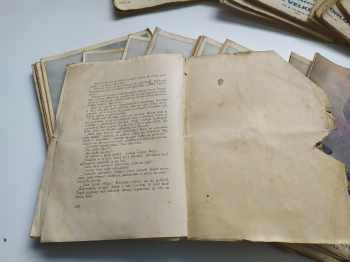 František Josef Čečetka: Orlové velké armády