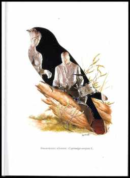 Jiří Kolář: Ornitologie moderního umění