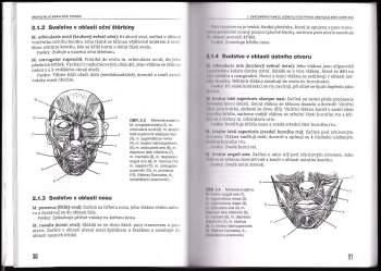 Rodolfo Castillo-Morales: Orofaciální regulační terapie