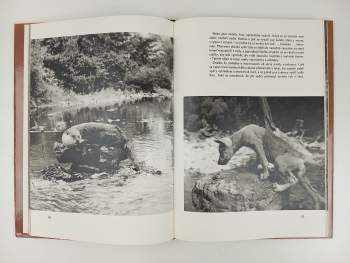 Marie Vacková: Osamělá vlčice