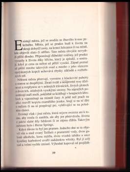 Louis L'Amour: Osamělý jezdec