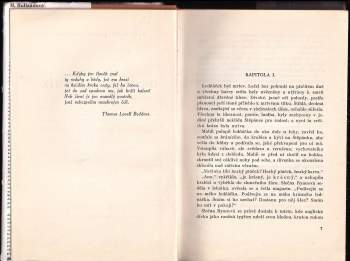 Mary Rolland-Lewis: Osamělý poutník