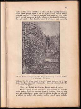 Josef Vaněk: Ošetřování a řez tvarových stromů a zákrsků ovocných s dodatkem o řezu révy vinné