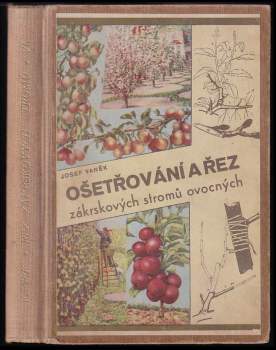 Ošetřování a řez zákrskových stromů ovocných