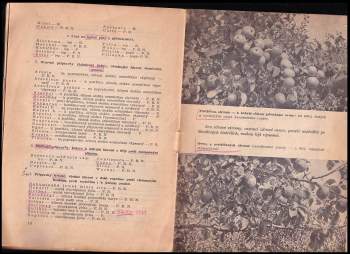 Robert Beránek: Ošetřováním stromů - k bohaté sklizni ovoce