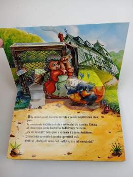 Robyn Bryant: Ošklivé káčátko