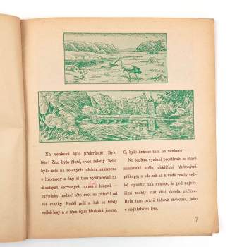 Hans Christian Andersen: Ošklivé kachně