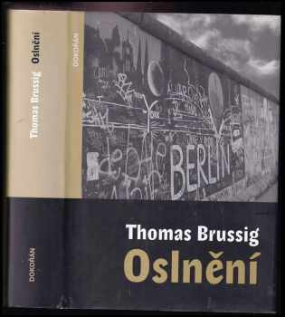 Thomas Brussig: Oslnění