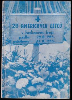 Osmadvacet amerických letců