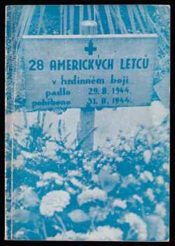 Osmadvacet amerických letců
