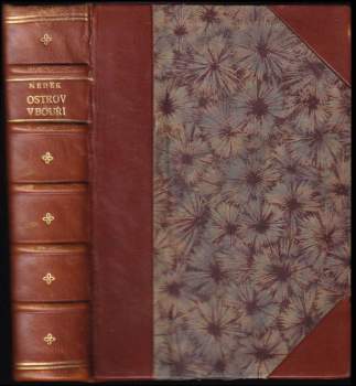 Rudolf Medek: Ostrov v bouři