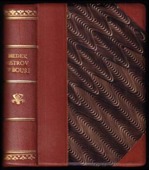 Ostrov v bouři