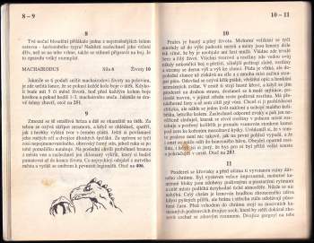 Zbyněk Dach: Ostrov vyhnanců