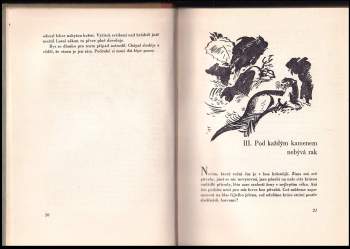 Jaroslav Hubálek: Ostrovid