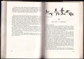 Rudolf Šrámek-Hušek: Ostrovy bílých perutí