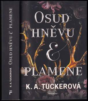 K. A Tucker: Osud hněvu & plamene