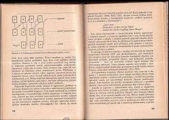 Milan Morávek: Otázky vzniku a povahy psychiky