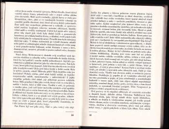 Honoré de Balzac: Otec Goriot