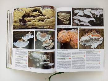 Ladislav Hagara: Ottova encyklopedie hub