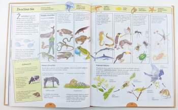 Ottova velká školní encyklopedie