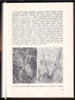 František Kyncl: Ovocnictví