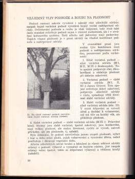 František Kyncl: Ovocnictví