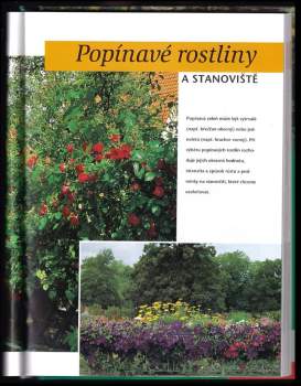 Rita Gunkel: Ozelenění popínavými rostlinami