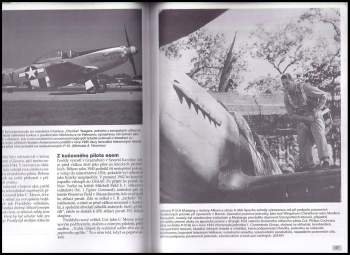 Kev Darling: P-51 Mustang