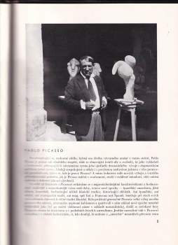 Viktor Nikodém: Pablo Picasso