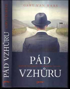 Pád vzhůru : [každý má právo na druhou šanci]