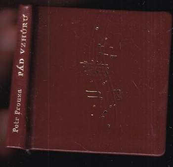 Petr Prouza: Pád vzhůru