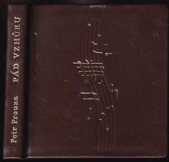 Petr Prouza: Pád vzhůru