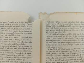 Walter Gericke: Padákoví myslivci nastupují