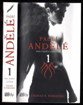 Tom Sniegoski: Padlí andělé
