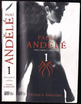 Padlí andělé