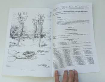 Jiří Vaněk: Palaeontologia Bohemiae 2002 - Volume VIII