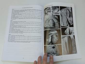 Jiří Vaněk: Palaeontologia Bohemiae 2002 - Volume VIII