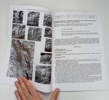 Jiří Vaněk: Palaeontologia Bohemiae 2003 - 2004 - Volume IX
