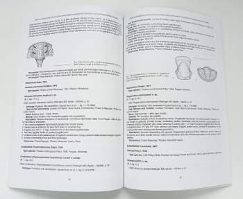 Jiří Vaněk: Palaeontologia Bohemiae 2003 - 2004 - Volume IX