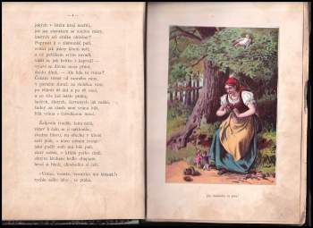 Bohumila Klimšová: Paleček a Malenka