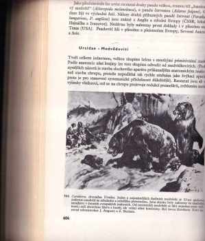 Zdeněk Burian: Paleontologie obratlovců