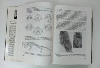 Zdeněk Burian: Paleontologie obratlovců