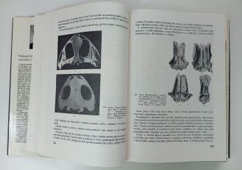 Zdeněk Burian: Paleontologie obratlovců