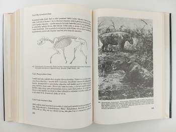 Zdeněk Burian: Paleontologie obratlovců