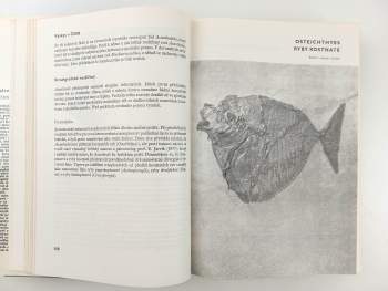 Zdeněk Burian: Paleontologie obratlovců