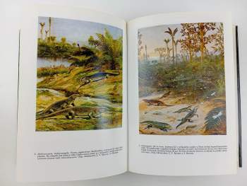 Zdeněk Burian: Paleontologie obratlovců