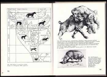 Zdeněk Vlastimil Špinar: Paleontologie
