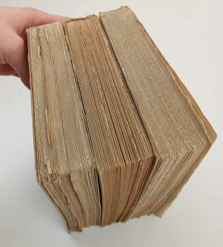 Miloš Bič: Palestina od pravěku ke křesťanství