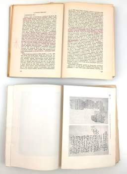 Miloš Bič: Palestina od pravěku ke křesťanství